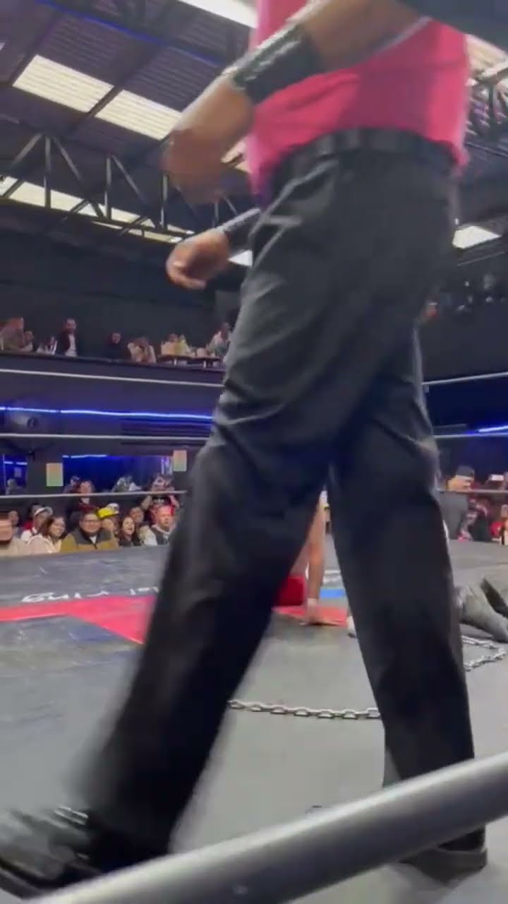 Dalys vs Lady Maravilla en la Arena XXL